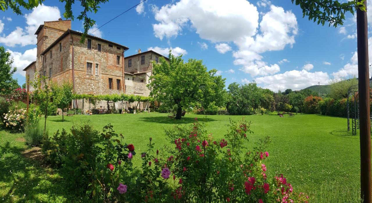 Agriturismo Abbazia Sette Frati A Casa Di Sara Pietrafitta  Eksteriør billede