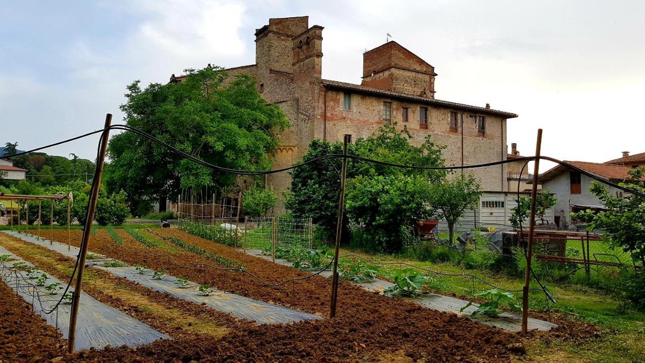 Agriturismo Abbazia Sette Frati A Casa Di Sara Pietrafitta  Eksteriør billede