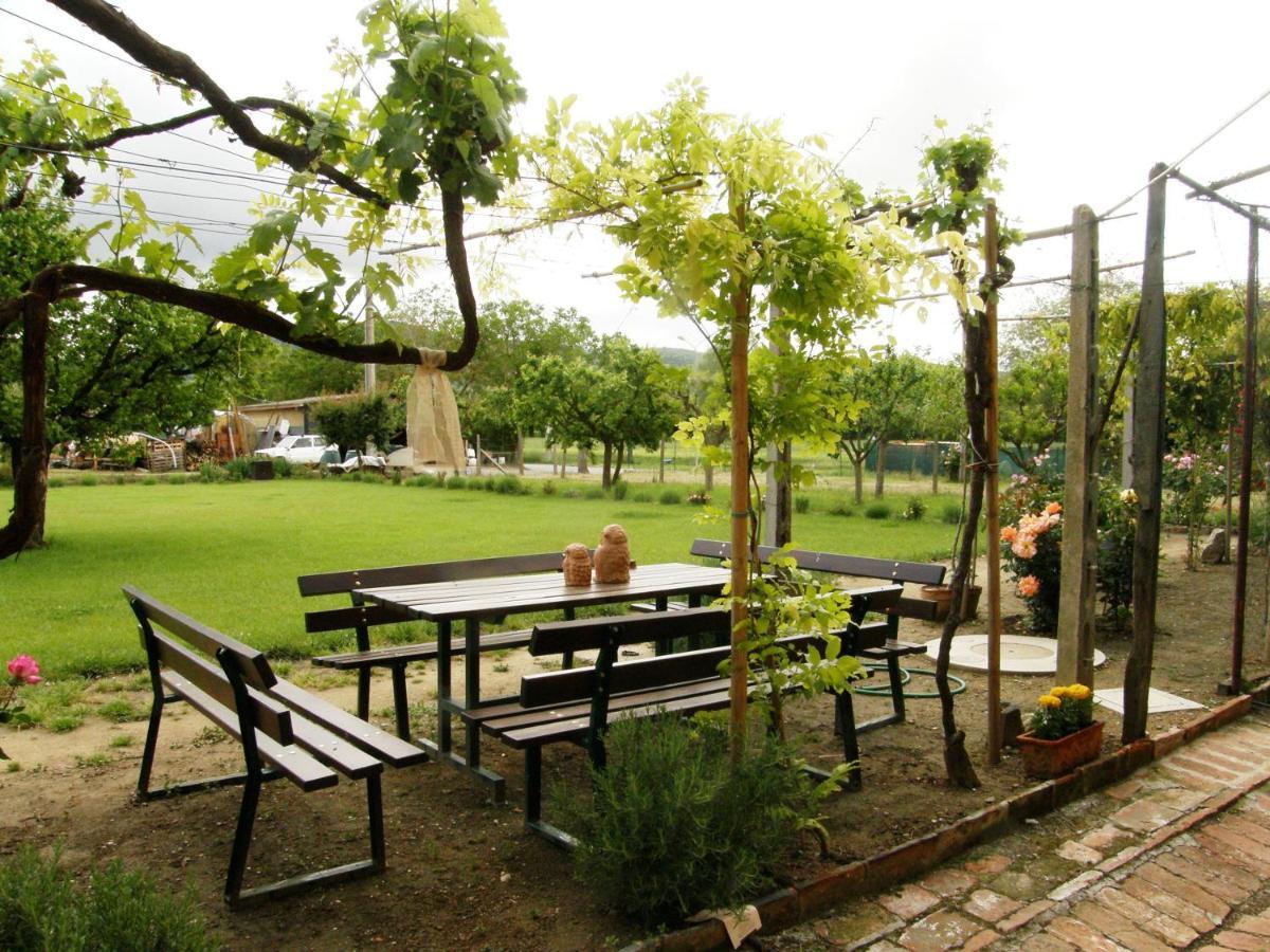 Agriturismo Abbazia Sette Frati A Casa Di Sara Pietrafitta  Eksteriør billede