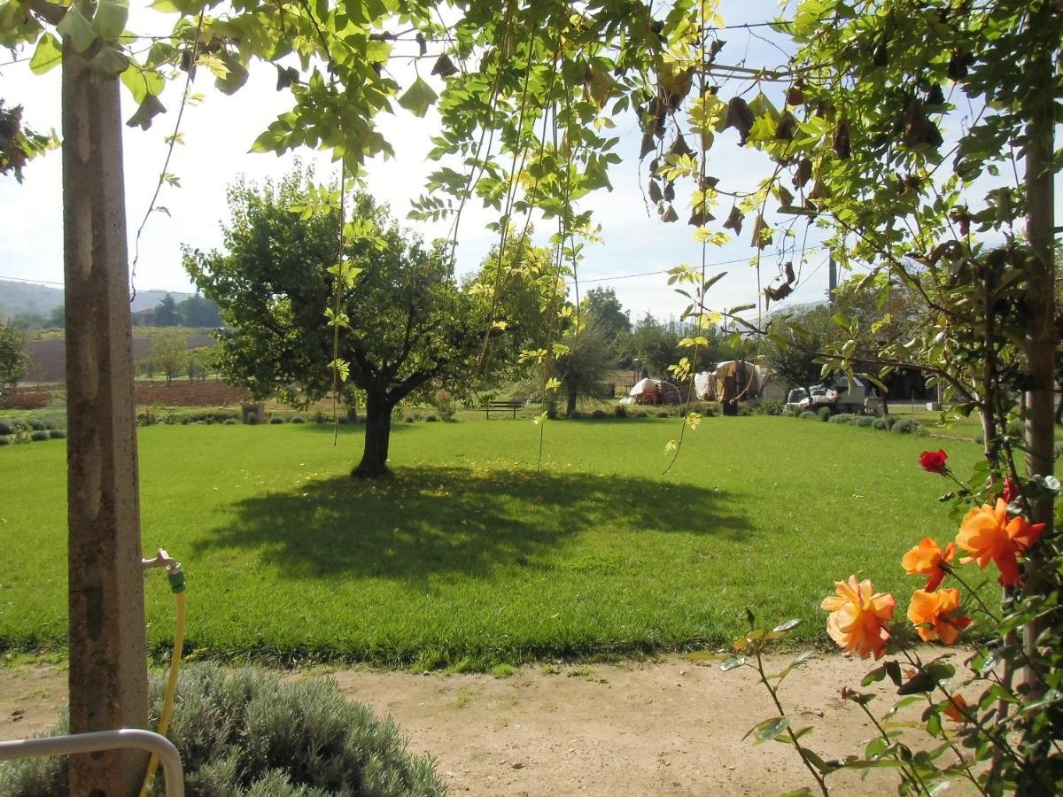 Agriturismo Abbazia Sette Frati A Casa Di Sara Pietrafitta  Eksteriør billede